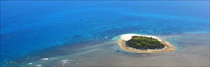 Wilson Island - QLD (PBH4 00 18448)